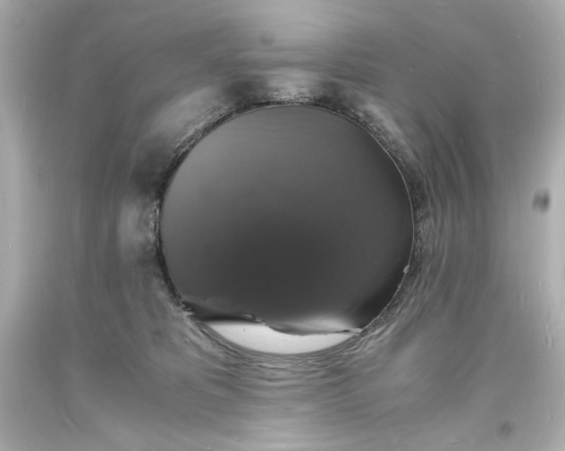 X0000094060325200711021451