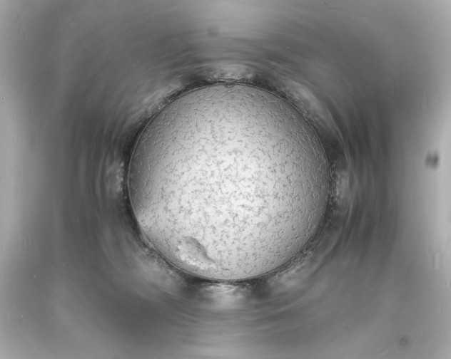 X0000094060326200711021451
