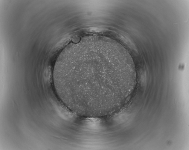 X0000094060328200711021451