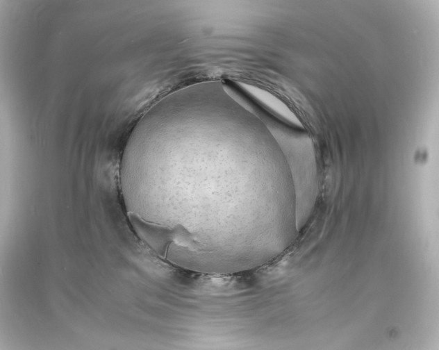 X0000094060329200711021451