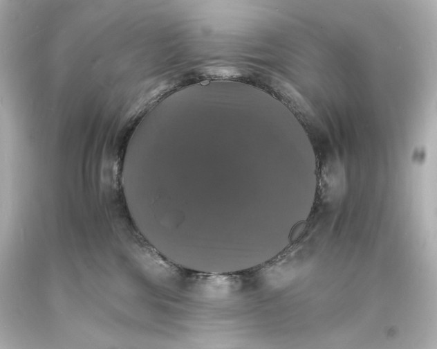 X0000094060330200711021451
