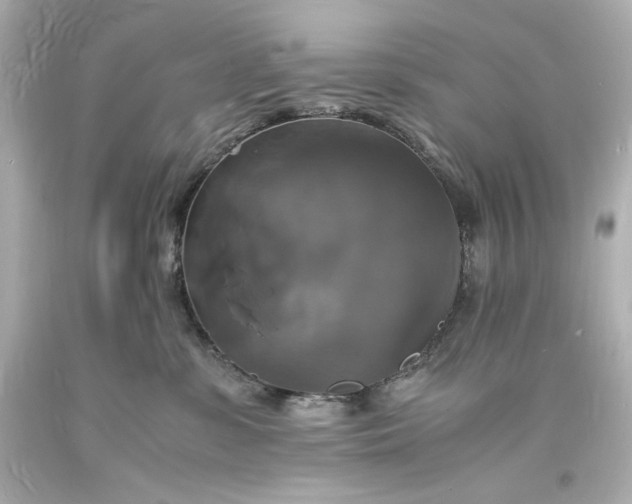 X0000094060331200711021451