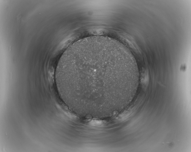 X0000094060332200711021451