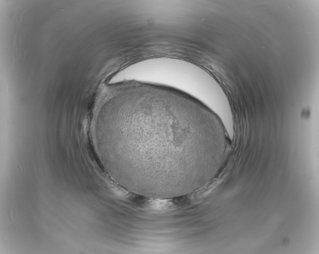 X0000094060333200711021451