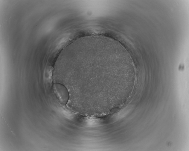 X0000094060336200711021451