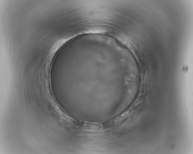 X0000094060337200711021451