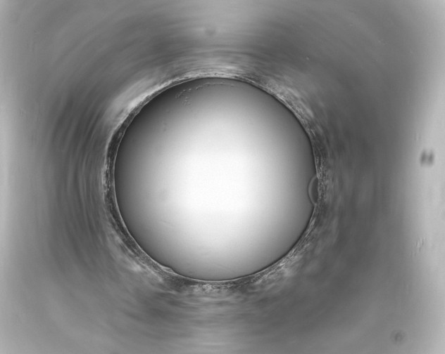 X0000094060338200711021451