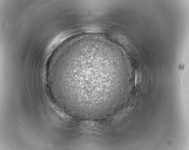 X0000094060339200711021451