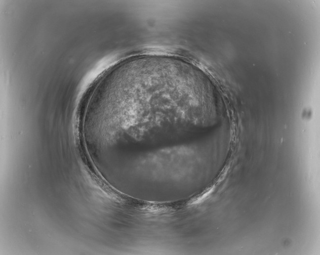 X0000094060343200711021451