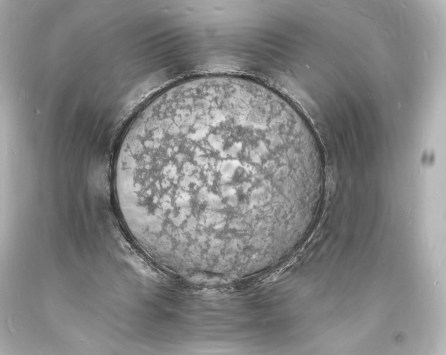 X0000094060345200711021451