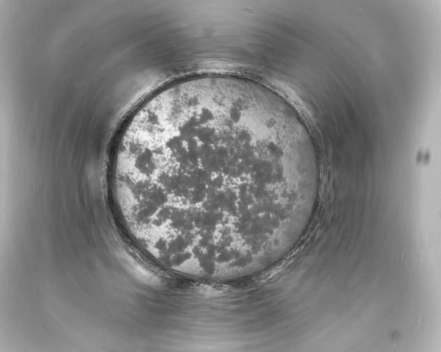 X0000094060346200711021451