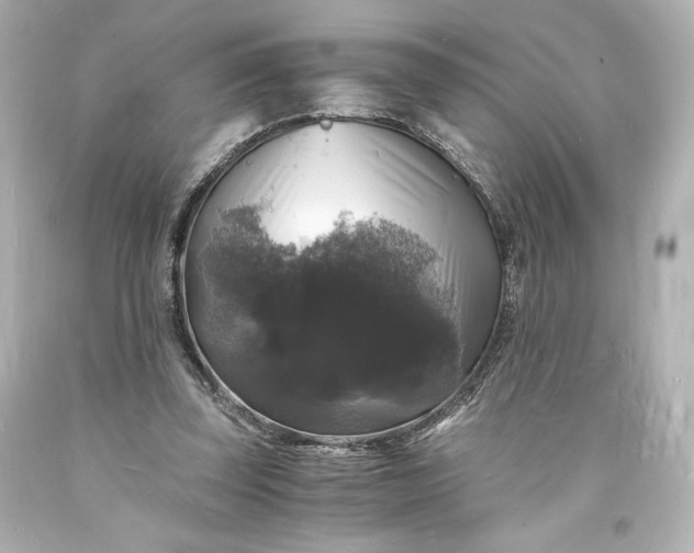 X0000094060347200711021451