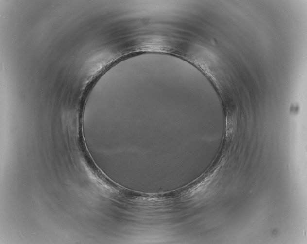 X0000094060349200711021451