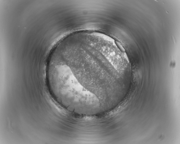X0000094060350200711021451
