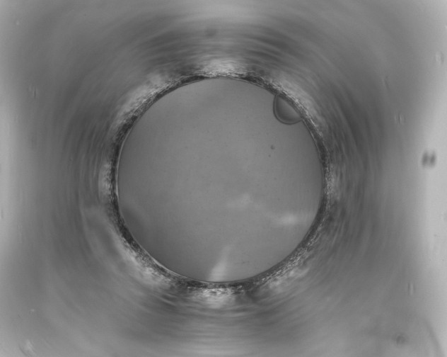 X0000094060353200711021451