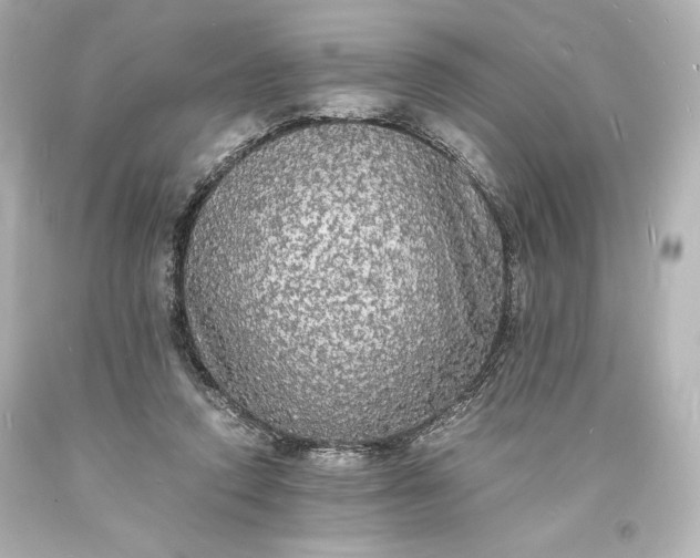 X0000094060354200711021451