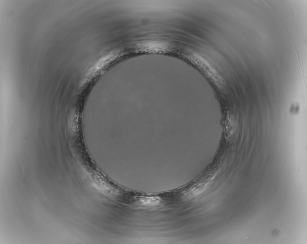 X0000094060355200711021451