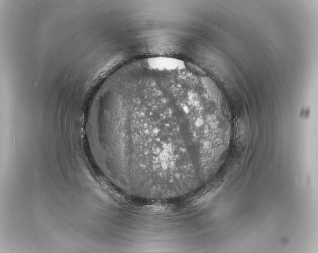 X0000094060356200711021451