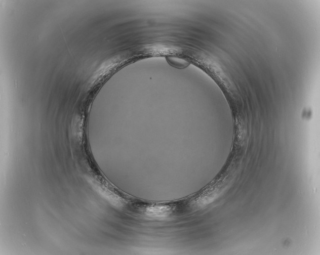 X0000094060357200711021451
