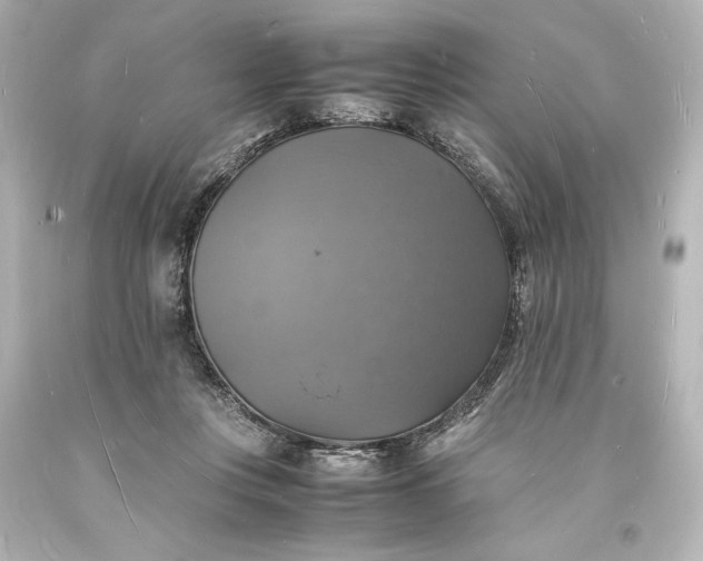 X0000094060359200711021451