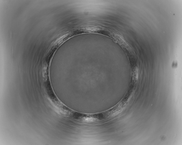 X0000094060360200711021451