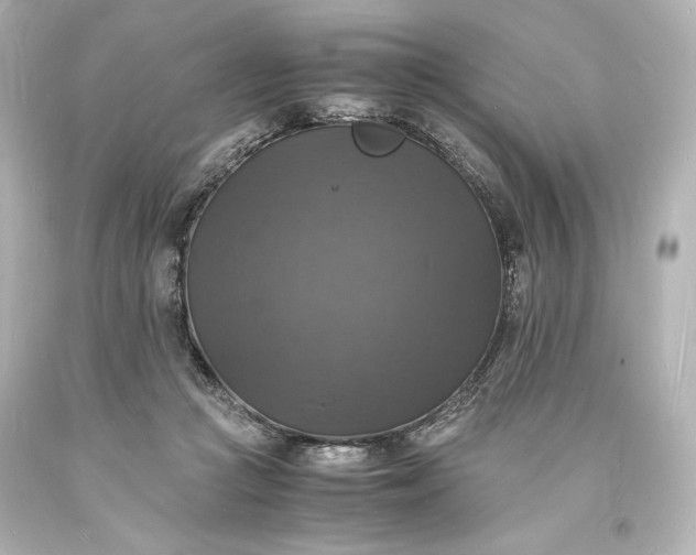 X0000094060361200711021451