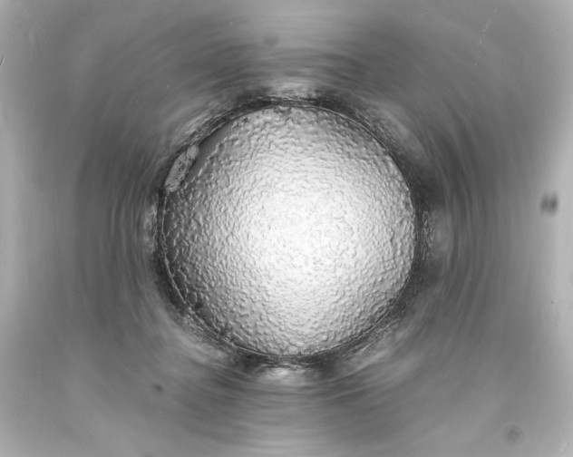 X0000094060364200711021451