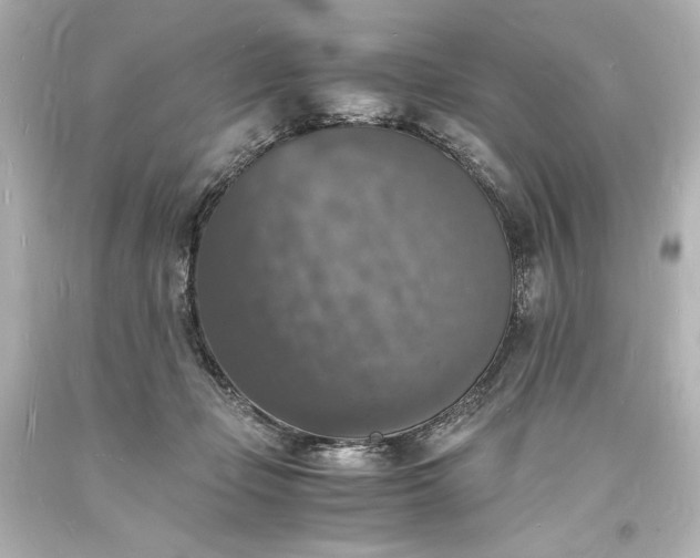 X0000094060365200711021451