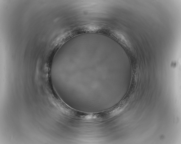 X0000094060366200711021451