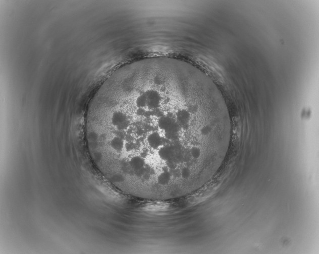 X0000094060369200711021451