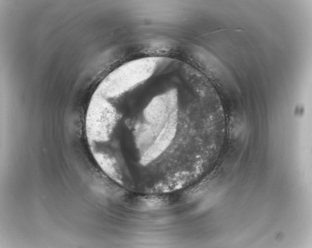 X0000094060370200711021451