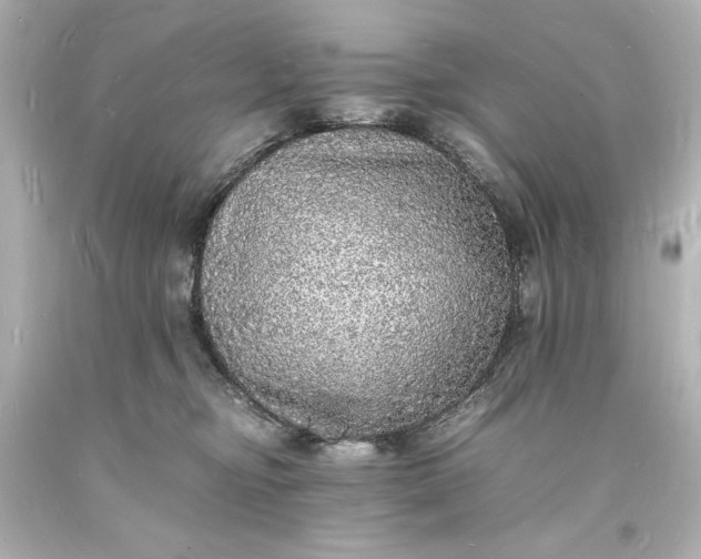 X0000094060374200711021451
