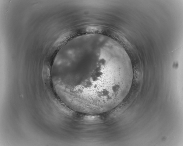 X0000094060375200711021451