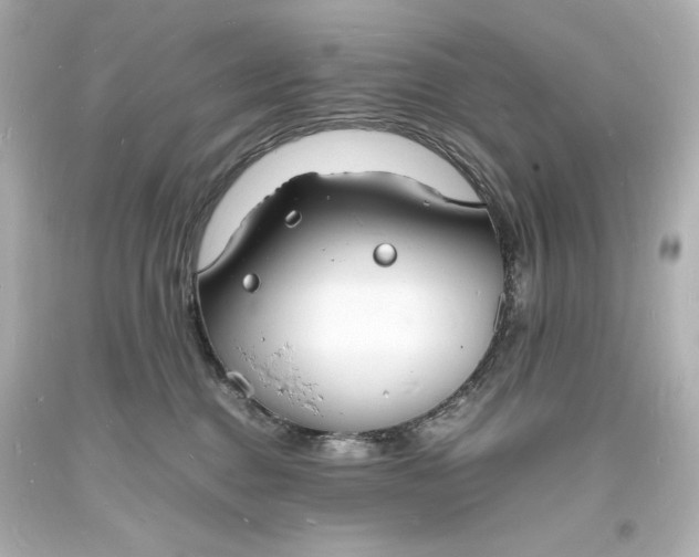 X0000094060376200711021451