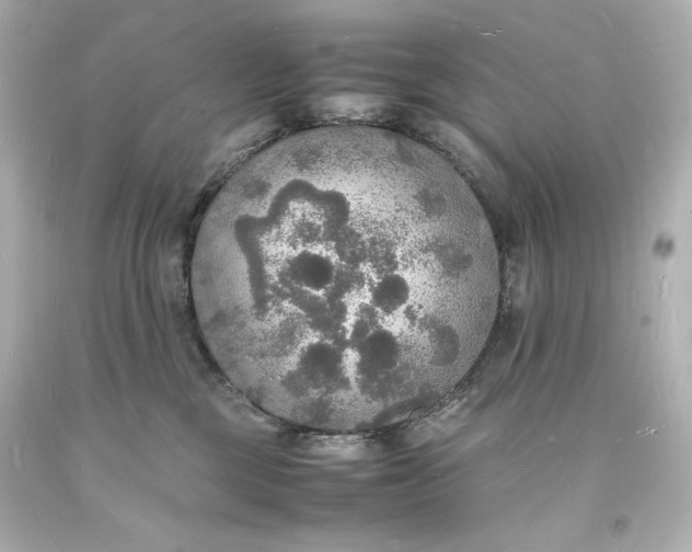 X0000094060377200711021451