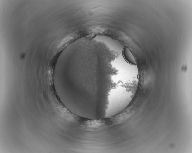 X0000094060378200711021451