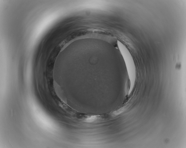 X0000094060382200711021451