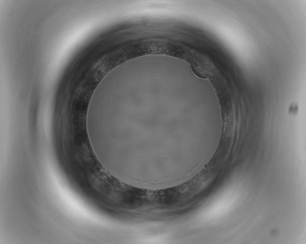 X0000094060383200711021451