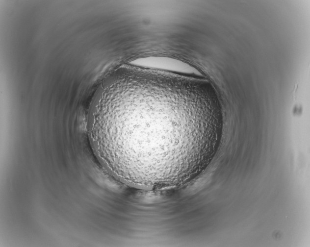 X0000094060384200711021451