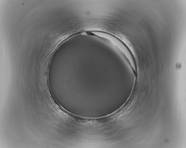 X0000094060385200711021451