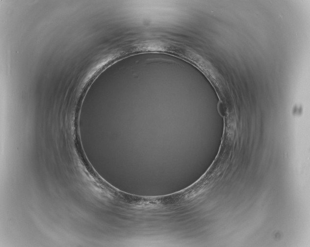 X0000094060386200711021451