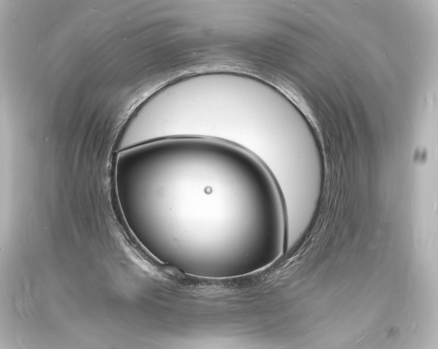 X0000094060389200711021451