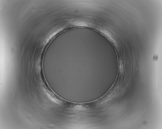 X0000094060390200711021450