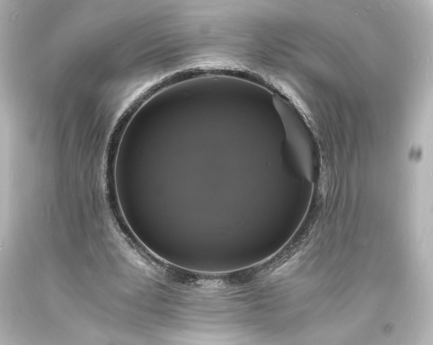 X0000094060391200711021450