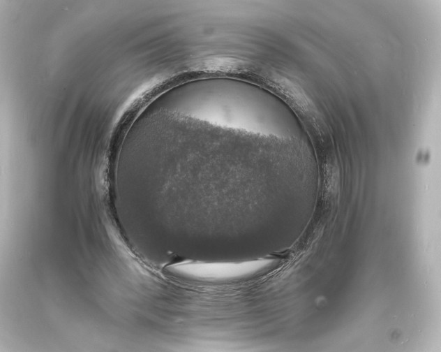 X0000094060392200711021450