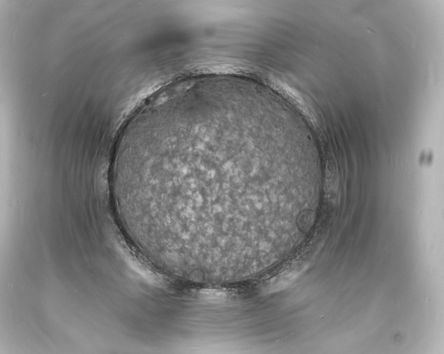 X0000094060394200711021450