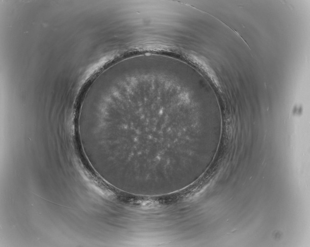 X0000094060395200711021450