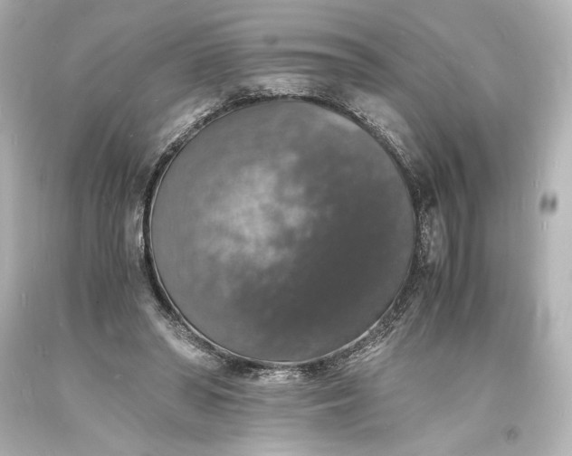 X0000094060398200711021450