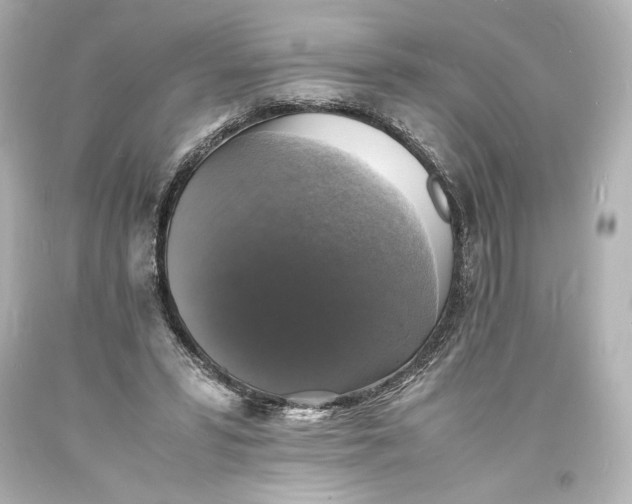 X0000094060399200711021450