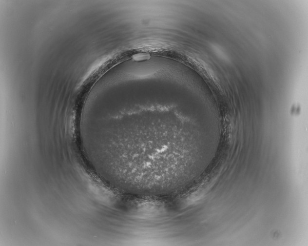 X0000094060400200711021450